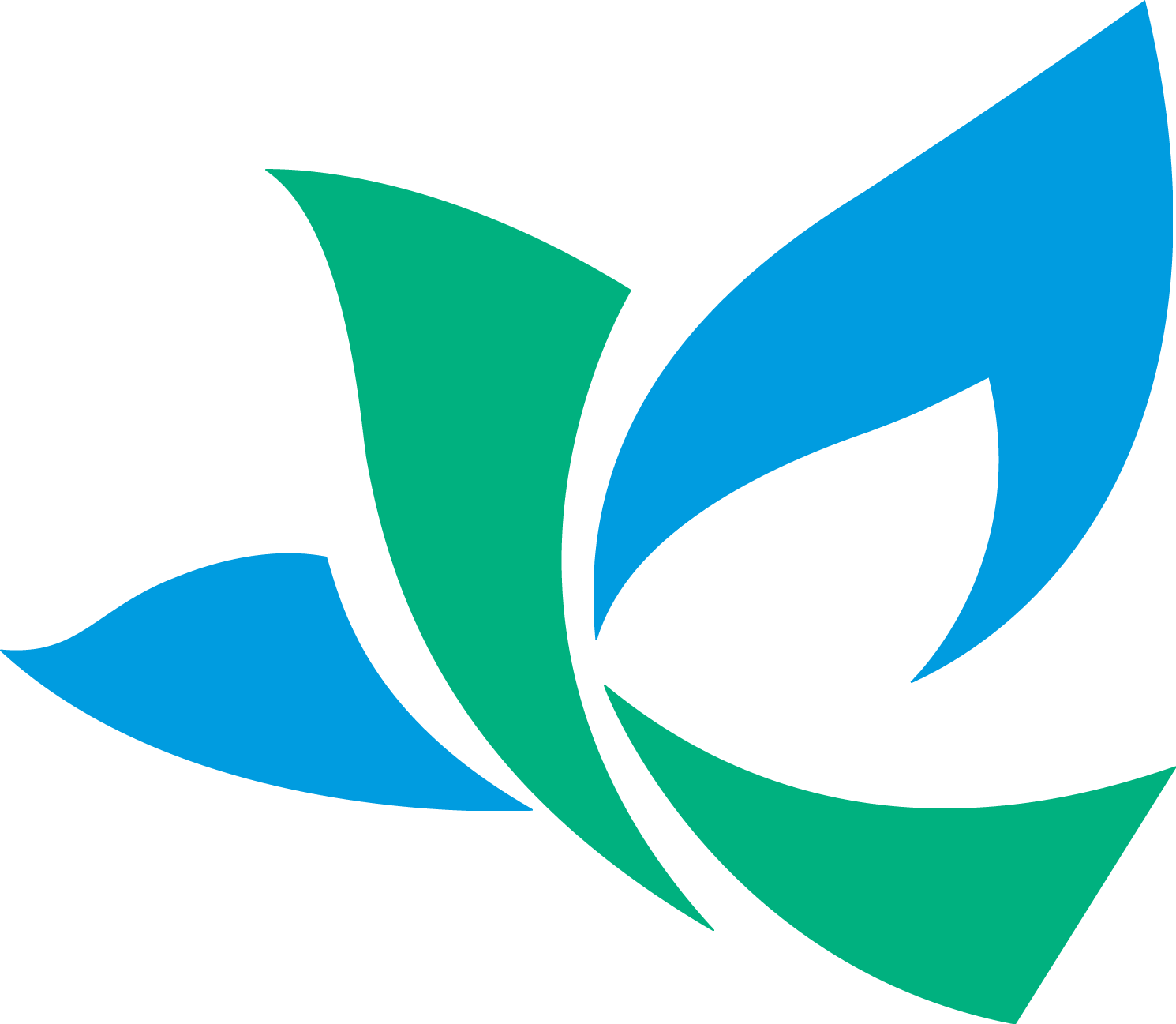 10-C-RGB最終20.png